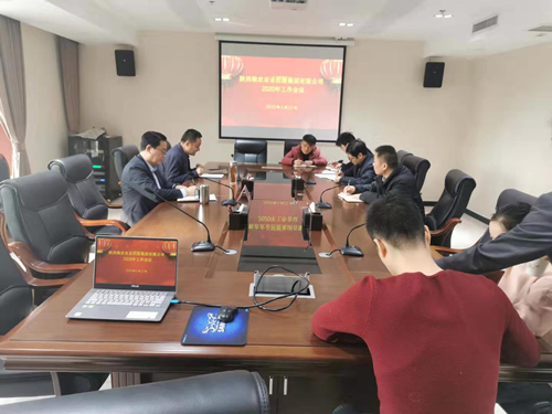 陜西糧農(nóng)農(nóng)業(yè)控股集團(tuán)召開(kāi)2020年度工作會(huì)議