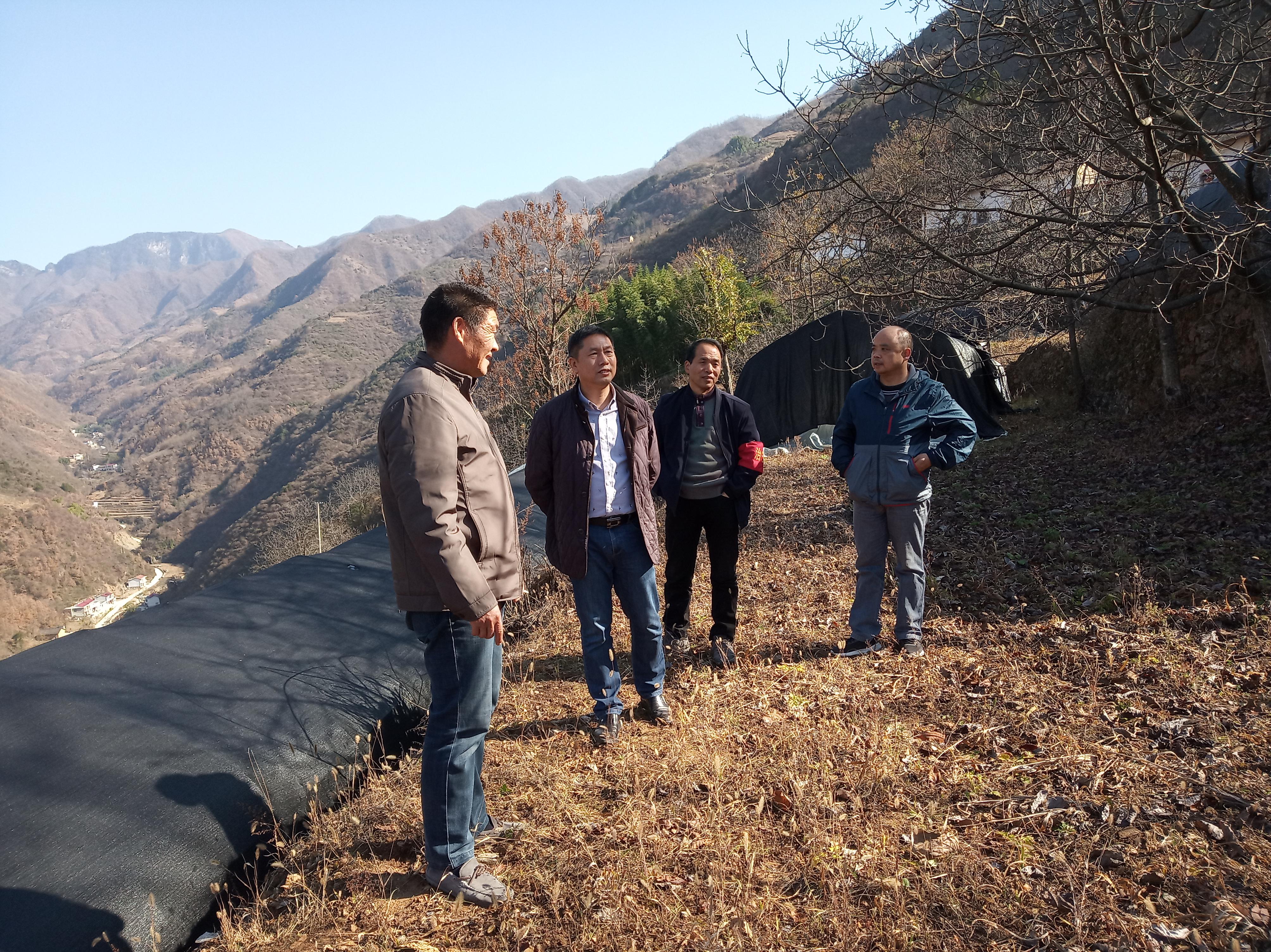 油脂集團領導深入扶貧幫扶村調研