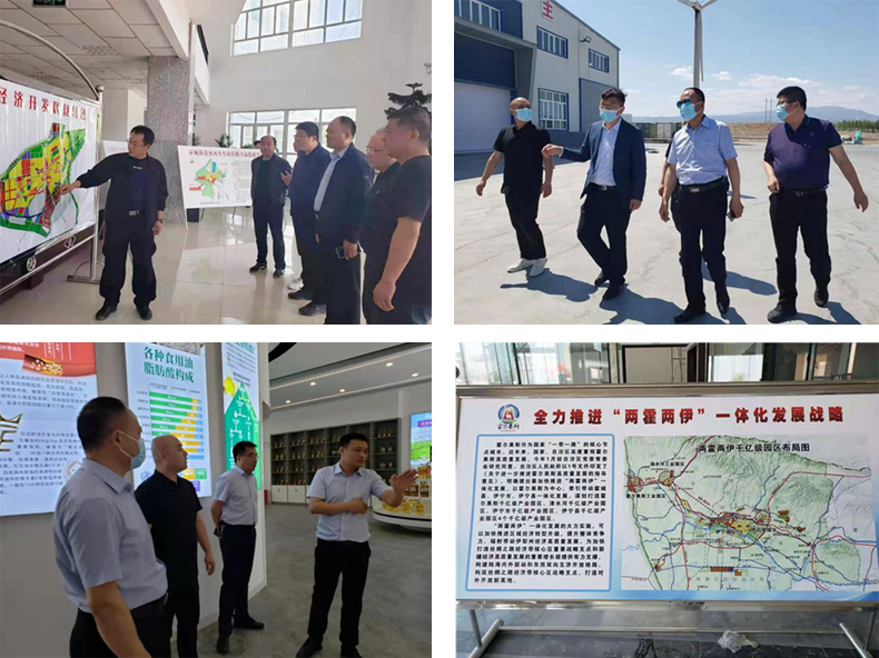 油脂集團(tuán)：李普生一行赴新疆霍城調(diào)研、檢查工作