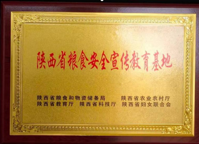 儲(chǔ)備糧管理集團(tuán)：榮獲多項(xiàng)表彰獎(jiǎng)勵(lì)