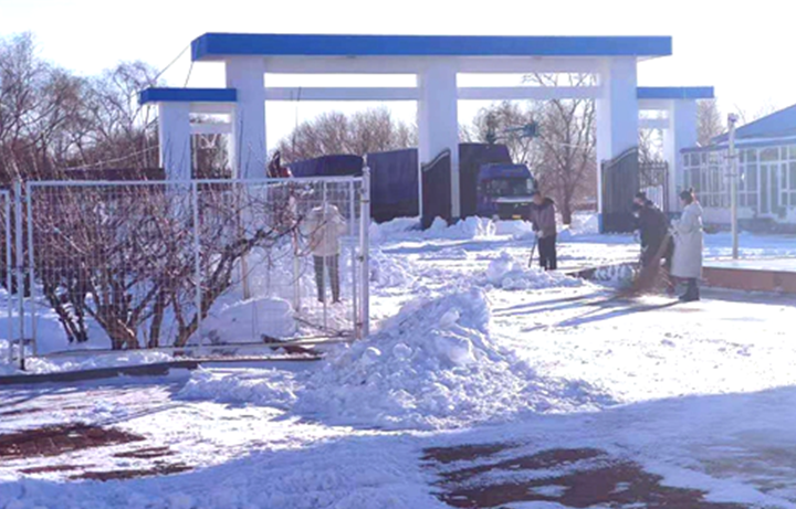 儲(chǔ)備糧管理集團(tuán)：戰(zhàn)嚴(yán)寒、清暴雪 集團(tuán)開(kāi)魯庫(kù)保秋糧入庫(kù)