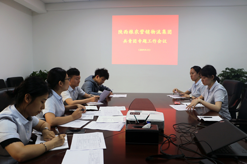 營銷物流集團(tuán)召開共青團(tuán)工作專題會議