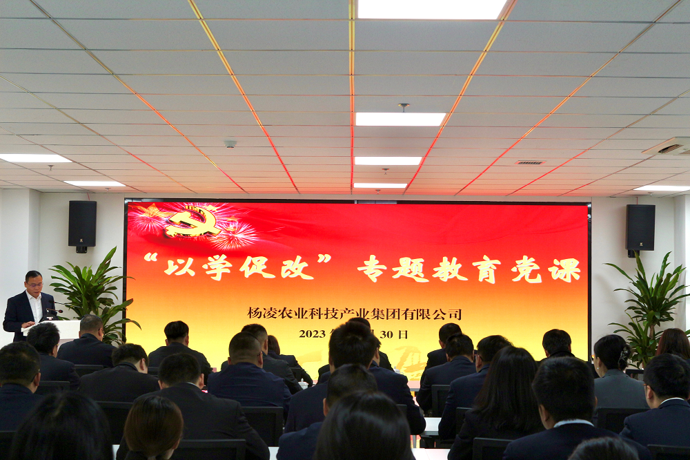 楊凌科技集團(tuán)：黨委召開(kāi)“以學(xué)促改”專題黨課